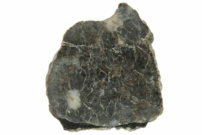 Lunar Meteorite ( g) Slice - Laayoune #313375